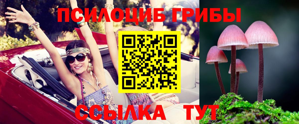 Галлюциногенные грибы MAGIC MUSHROOMS Краснокамск